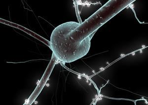 Actualidad: Cerebro y Poder