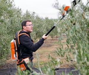 Cuando el poder sustituye al proyecto