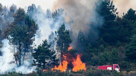 'Labores de extinción en el incendio de Carballal'. (Foto: https://www.diariodepontevedra.es/ ELISEO TRIGO / Efe).
