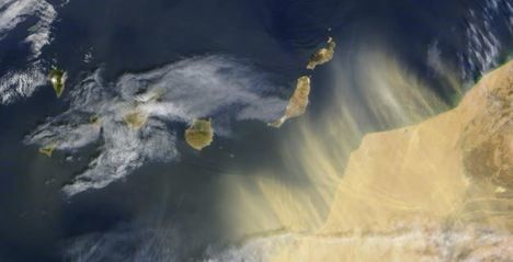 (Foto: https://lalagunaahora.com/).