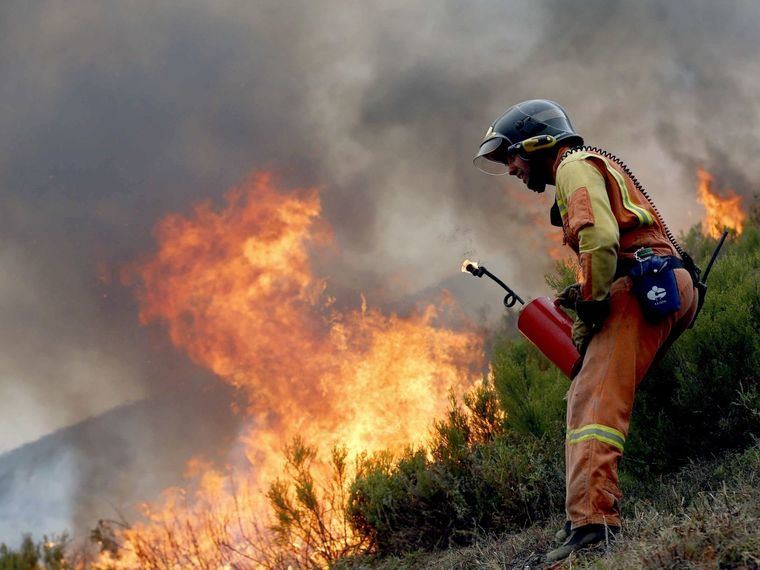 (Foto: https://www.elconfidencial.com/ EFE).