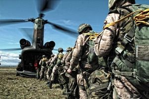 La orgánica de las Fuerzas Terrestres