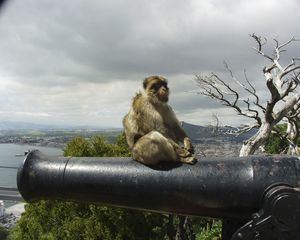 Gibraltar. En busca de una respuesta a un reto permanente e injustificado