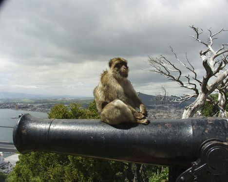 (Foto: https://www.viajesdeprimera.com/).